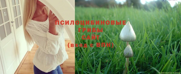 стафф Кострома