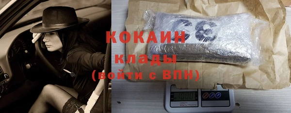 спиды Магас