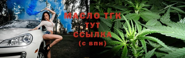 спиды Магас