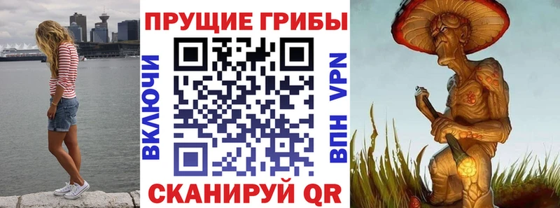 Псилоцибиновые грибы ЛСД  Губкин 
