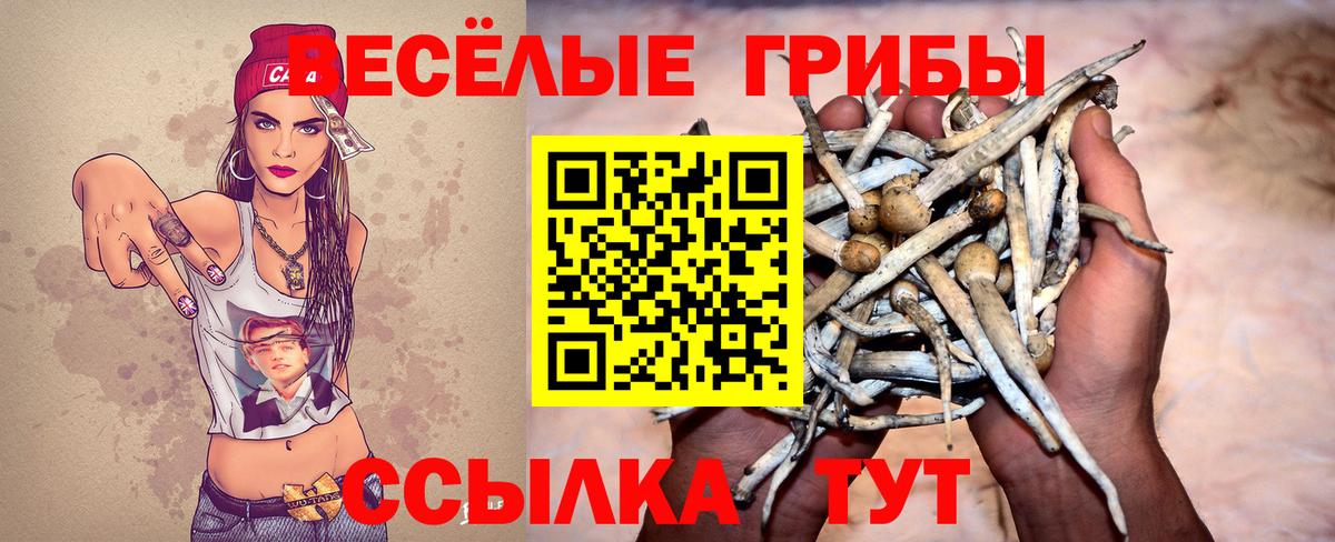 закладка  Псилоцибиновые грибы Psilocybine cubensis  Вход с VPN  Губкин 
