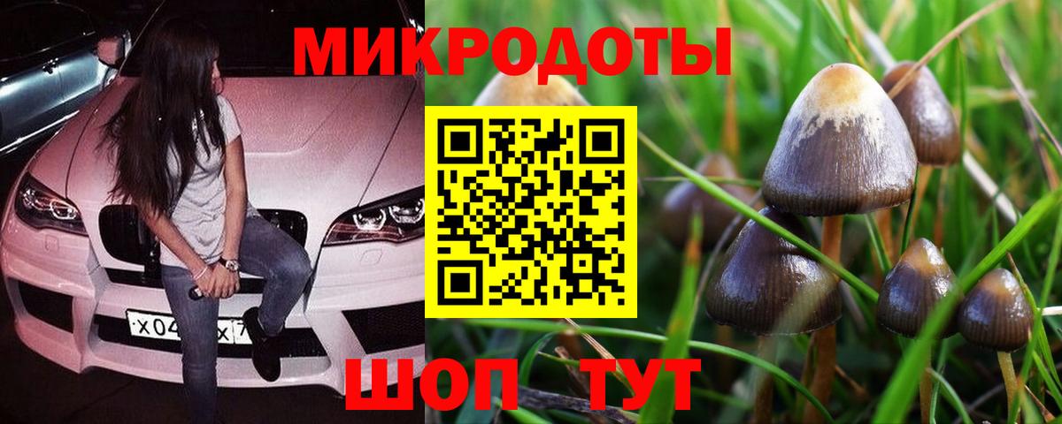 Галлюциногенные грибы прущие грибы Губкин