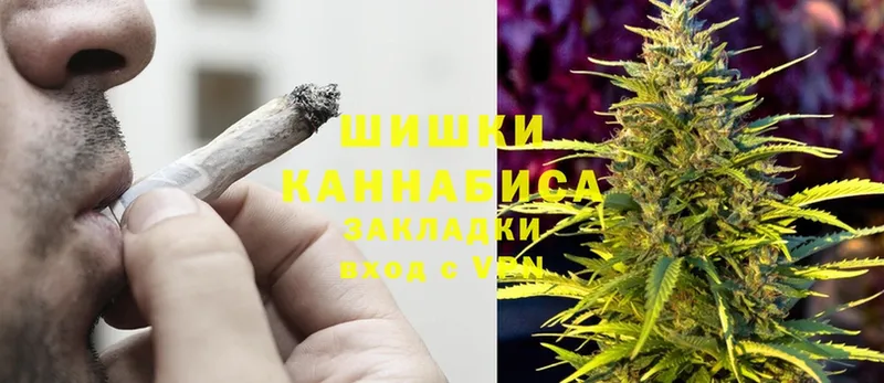 наркота  Губкин  Бошки Шишки SATIVA & INDICA 